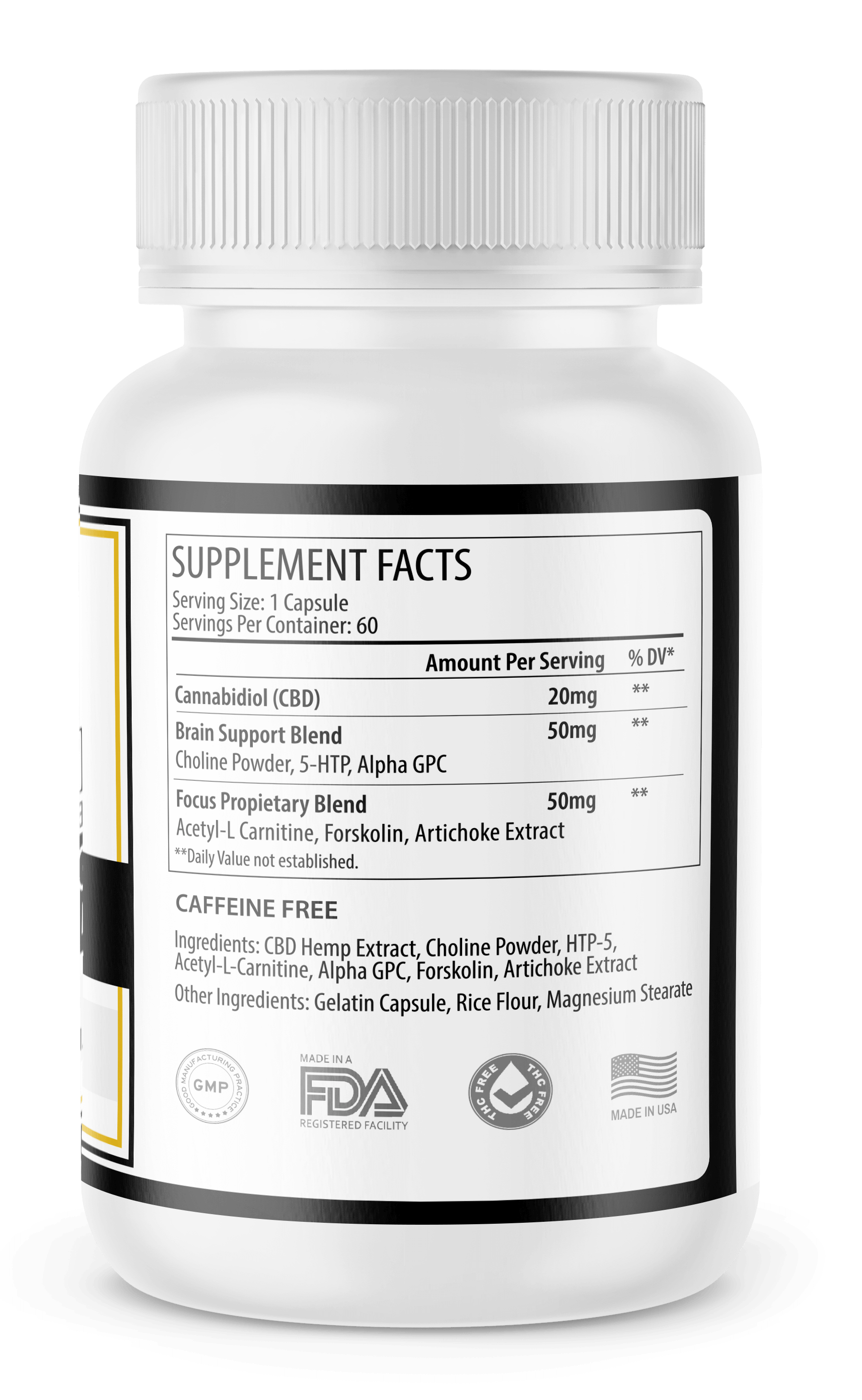 best time to take l'carnitine can you take l carnitine while fasting Morning or Evening? Best Time to Take  L-Carnitine